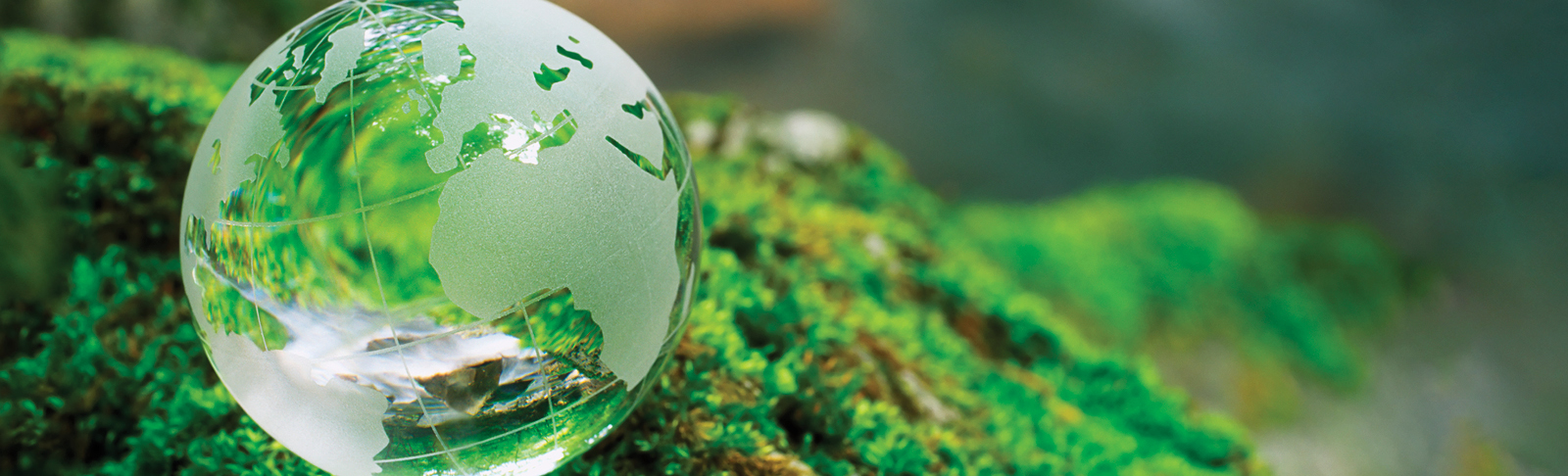Standard Bank structures East Africa’s first ever green bond 14 image set